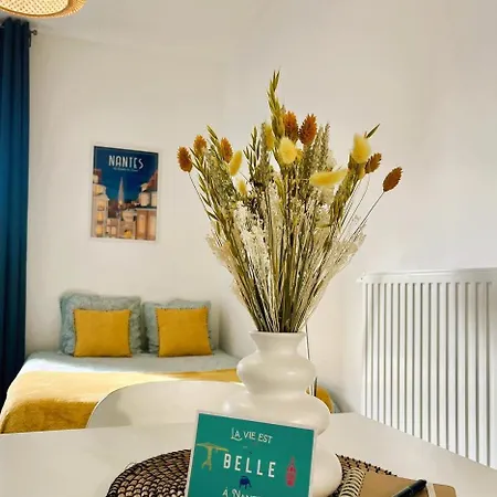 Apartament Le Petit Tryo - Studio Lumineux, Gare Sud *